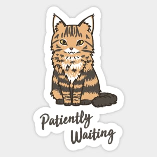 Patiently Waiting Cat Sticker